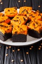 Beautiful delicious Halloween sweet brownie cake decorated with