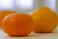 Beautiful and delicious Mandarin oranges.