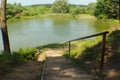 Beautiful descent to the lake through the bushes and pine trees with a place for writing text