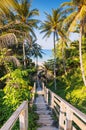 A beautiful descent wooden staircase through the jungle down to the beach. A beautiful view opens through palm trees to the ocean