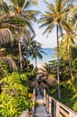 A beautiful descent wooden staircase through the jungle down to the beach. A beautiful view opens through palm trees to the ocean