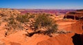 beautiful desert canyon colorado in high resolution