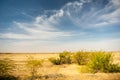 Beautiful desert in india with yellow sands, green plants and blue cloudy sky Royalty Free Stock Photo