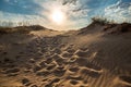 Beautiful desert landscape with dunes. Walk on a sunny day on the sands