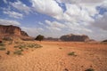 Beautiful desert landscape with solitary tree