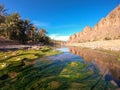 Beautiful Desert oasis landscape in Oasis De Fint near Ourzazate in Morocco, North Africa Royalty Free Stock Photo