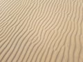 Beautiful desert sand background with wind ripples lines or waves effects Royalty Free Stock Photo