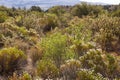 A beautiful desert scene near Las Vegas Nevada. Royalty Free Stock Photo