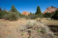 Beautiful desert scenery in the red rocks of Garden of the Gods Park in Colorado Springs Royalty Free Stock Photo