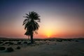 Beautiful Desert Sunset background in Al Hasa Saudi Arabia Royalty Free Stock Photo