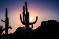 Beautiful desert sunset Royalty Free Stock Photo