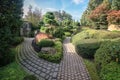 Beautiful design garden full of different types of buxus plants