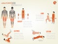 Beautiful design info graphic of abdominal legs workout