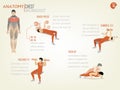 Beautiful design infographic of chest workout consist