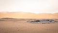 A beautiful, desolate desert landscape at Skeleton Coast, Namibia. Royalty Free Stock Photo