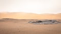 A beautiful, desolate desert landscape at Skeleton Coast, Namibia.
