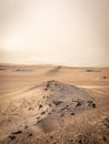 A beautiful, desolate desert landscape at Skeleton Coast, Namibia.