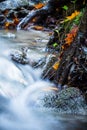 Beautiful detail close up of silky smooth satin soft river flowing in forest fall vivid selective colors