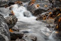 Beautiful detail close up of silky smooth satin soft river flowing in forest fall vivid selective colors Royalty Free Stock Photo