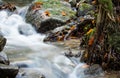 Beautiful detail close up of silky smooth satin soft river flowing in forest fall vivid selective colors Royalty Free Stock Photo