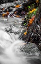 Beautiful detail close up of silky smooth satin soft river flowing in forest fall vivid selective colors Royalty Free Stock Photo