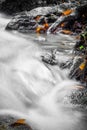 Beautiful detail close up of silky smooth satin soft river flowing in forest fall vivid selective colors Royalty Free Stock Photo