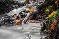 Beautiful detail close up of silky smooth satin soft river flowing in forest fall vivid selective colors Royalty Free Stock Photo