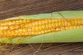 Close-up of corn cob in green husk. Zea mays