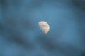 Beautiful detailed moon shot at dusk through tree branches in foreground - February 5, 2017 as seen from Minnesota, USA