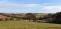 Beautiful devon countryside in the UK