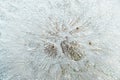 Beautiful dew drops on a dandelion seed macro. Beautiful soft background. Water drops on a parachutes dandelion. Copy space. soft Royalty Free Stock Photo