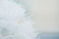 Beautiful dew drops on a dandelion seed macro. Beautiful soft blue background. Water drops on a parachutes dandelion. Copy space.