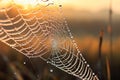 Beautiful dew drops on spider web at sunrise. Nature background, AI Generated Royalty Free Stock Photo