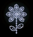 Beautiful diamond flower, vector