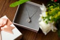 A Beautiful Diamond Pendant with a Simple Platinum Necklace in a Gift Box