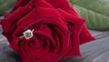 beautiful diamond ring on a red rose petal Royalty Free Stock Photo