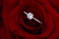 Beautiful diamond ring on red rose petals in a romantic setting during spring Royalty Free Stock Photo