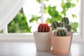 Beautiful different cacti in pots