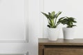 Beautiful different houseplants in pots on wooden table near white wall, space for text Royalty Free Stock Photo