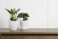 Beautiful different houseplants in pots on wooden table near white wall, space for text Royalty Free Stock Photo