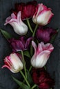 Beautiful different type of tulips on a slate background.