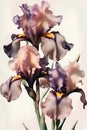 beautiful Digital art with soft pink-purple iris flowers against pale pink background. paint watercolor style. Ai generated Royalty Free Stock Photo