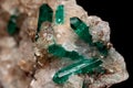 Beautiful Dioptase Crystals in Calcite matrix stone