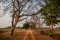 Beautiful dirt road with amazing light Royalty Free Stock Photo