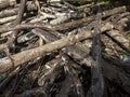 a beautiful, disorderly pile of wood Royalty Free Stock Photo