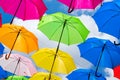 Colorful hanging umbrellas