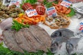 Beautiful display of fresh fish and seafood