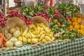 Beautiful display of radishes, yellow squash, onions, ginger and a verity of colored peppers