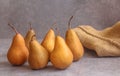 A beautiful display of ripe Bosc or `The BeurrÃÆÃÂ© Bosc` pears with long tapering neck and russeted skin.