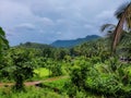 Distant view of Ranipuram Hills Kerala over the greeneries and trees under the blue sky